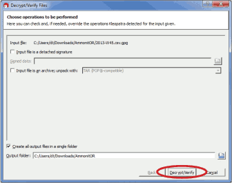 Start decryption process