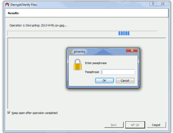 Enter file encryption password