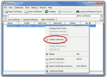 Certifying the public key