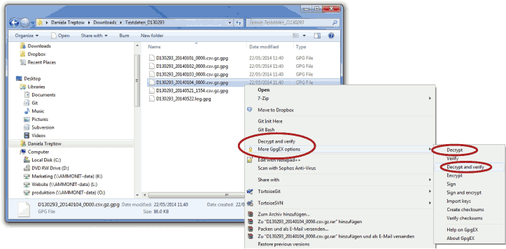 Screenshot of the GnpEx plugin in the Windows Explorer™