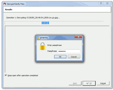 Screenshot of the Password Prompt for Decryption