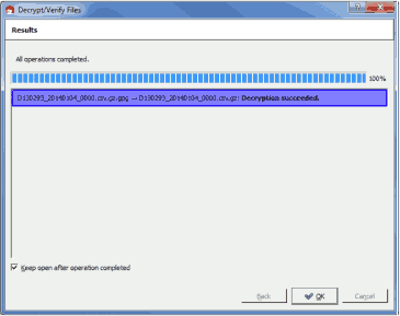 Screenshot of the Successful File Decryption