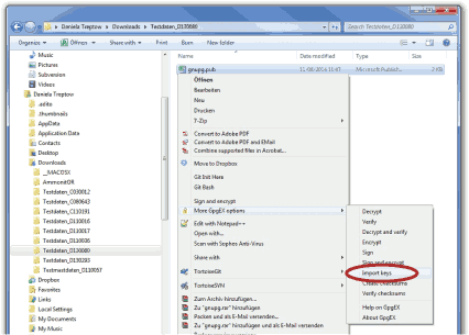 Screenshot of the Public key import