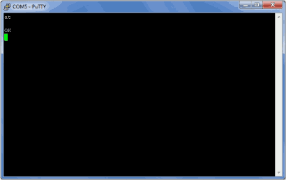 Screenshot of the PuTTY Command Window
