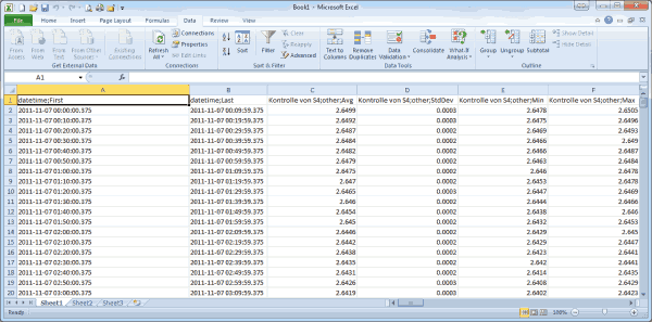 Picture of CSV file in Microsoft Excel 2010™